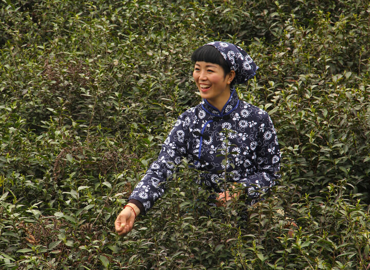 优酷直艾米 悬疑片